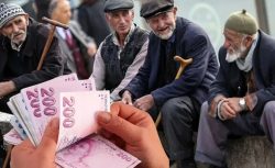 Tüm emeklilere BEDAVA oldu! TC kimliğini göstermek yetiyor