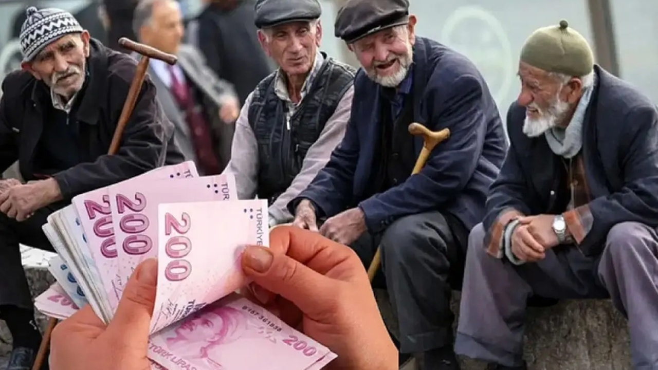 Tüm emeklilere BEDAVA oldu! TC kimliğini göstermek yetiyor